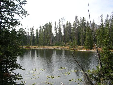 Bud Lake